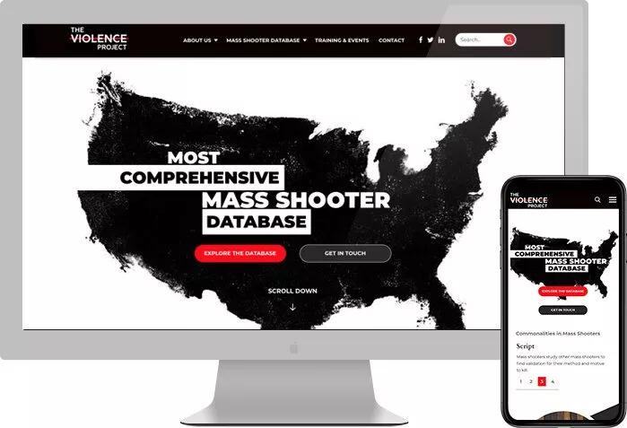 TheViolenceProject